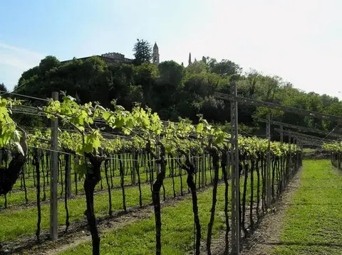 Agriturismo Le Caldane