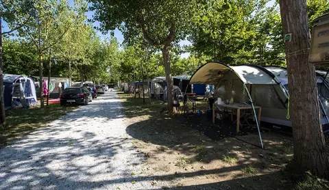 Camping Europa