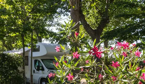 Camping Europa