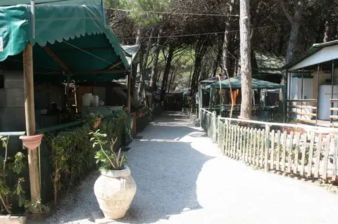 Central Camping