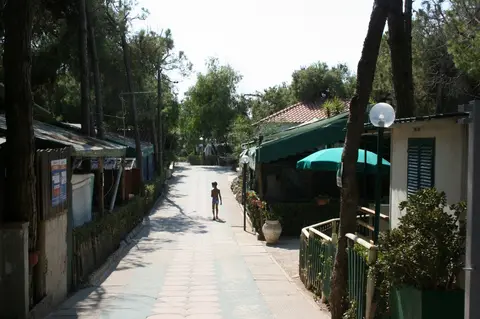 Central Camping