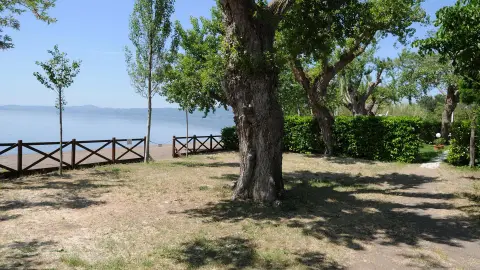 Massimo Camping e Appartamenti