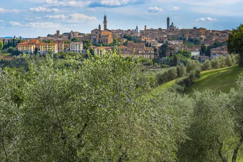 Colleverde