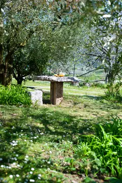 Benuzzi-Oberhofer