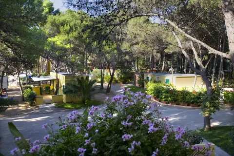 Camping Village La Vecchia Torre