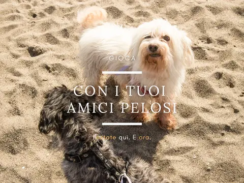 Club Degli Amici Camping Village