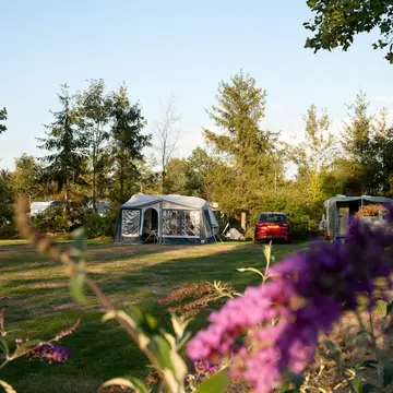 Camping De Waterjuffer