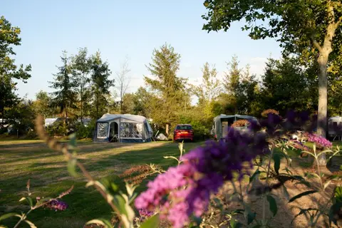 Camping De Waterjuffer
