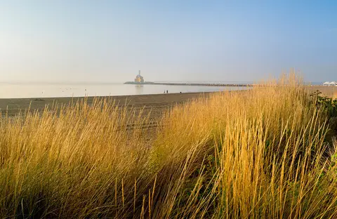 Marina di Venezia