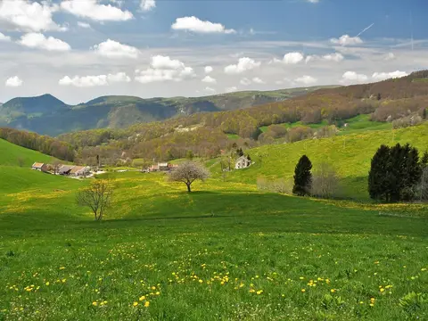 Campeggio al Covolo