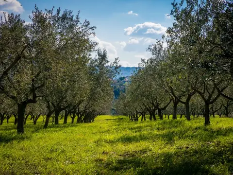 Camping Belvedere