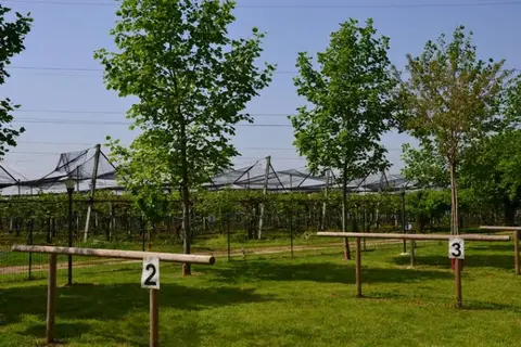 Agricamping Corte Finiletto