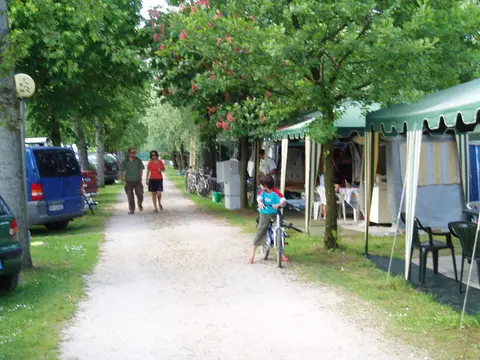 Cigno Bianco
