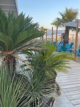 Campeggio Paradiso