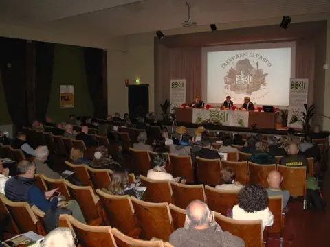 Area Verbania