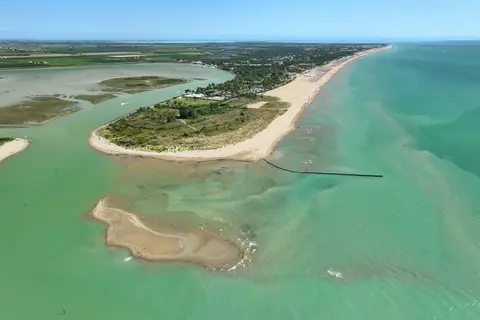 Capalonga