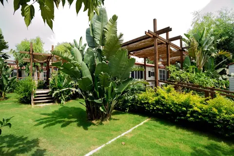 Camping Scarabeo