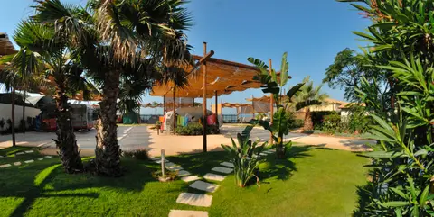 Camping Scarabeo