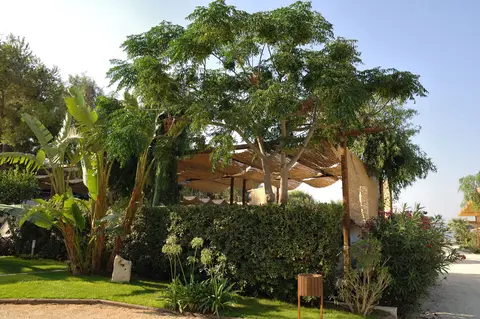 Camping Scarabeo