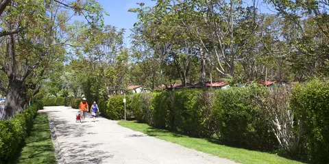 Campeggio di Capalbio