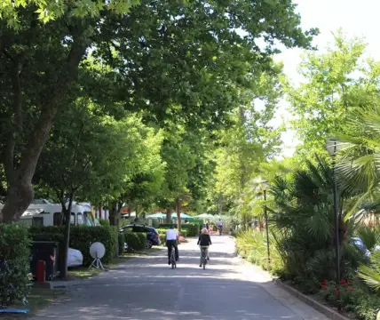 Camping San Vito