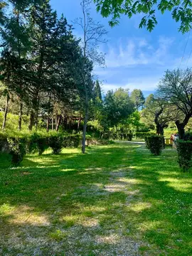 Happy Village
