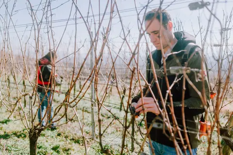 Weingut Lena Flubacher