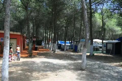 Camping Julia