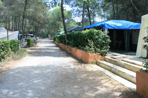 Camping Julia