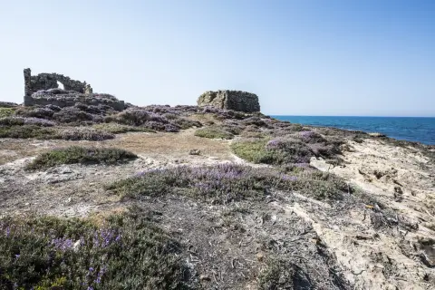 Camping Rocca dei Tramonti