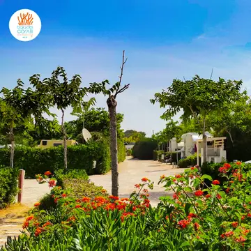 Camping Baia dei Coralli