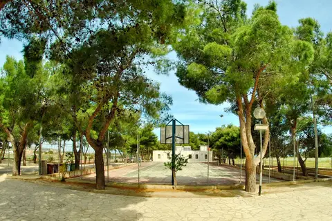 La Pineta