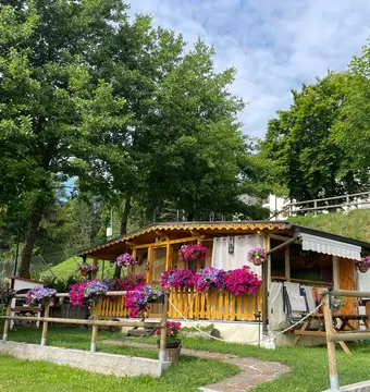 Camping Ciclamino