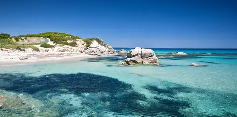 Tiliguerta