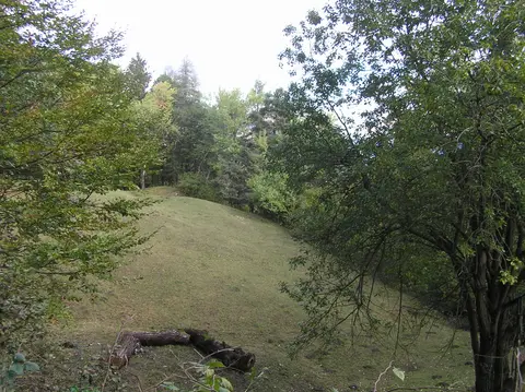 Campo Prada 1