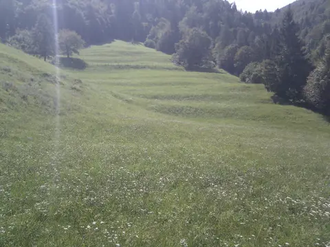Campo Prada 3