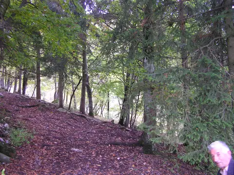 Campo Prada 2