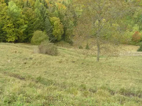 Campo Prada 2