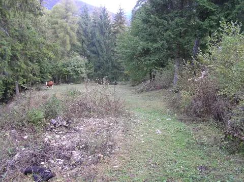 Campo Prada 2