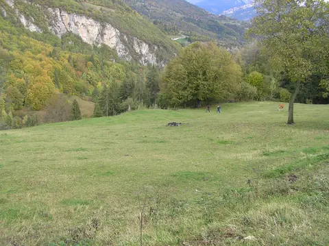 Campo Prada 2