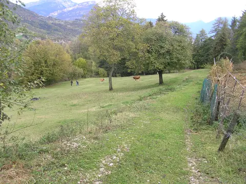 Campo Prada 2