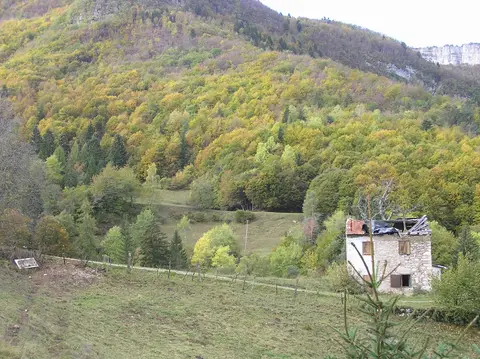 Campo Prada 2