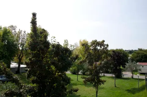 Camping Rolli