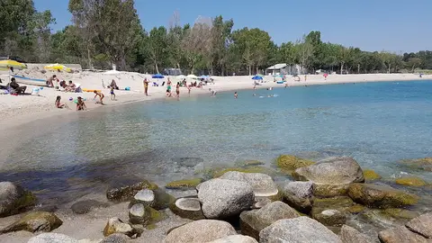 Mimosa Camping