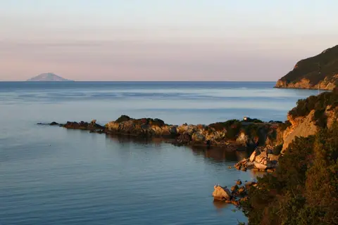 Laconella