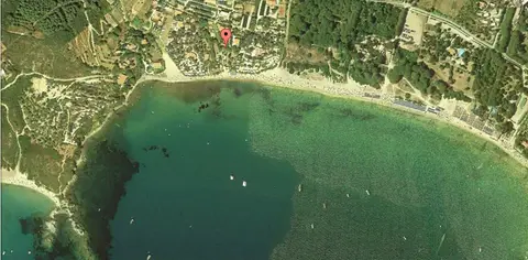 Laconella