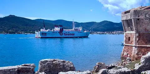 Laconella