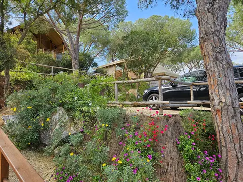 Camping Lacona Pineta