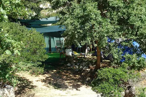 Kamp Dražica
