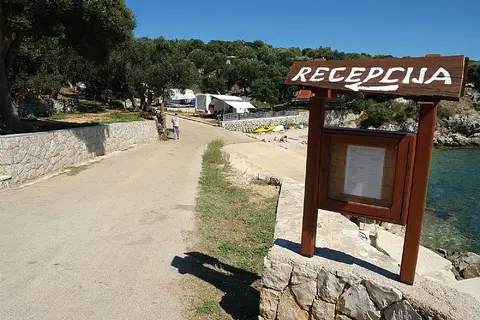 Kamp Dražica